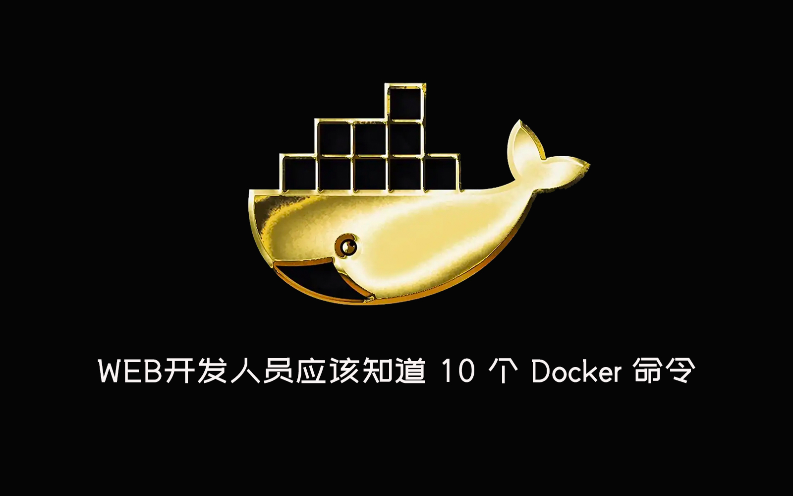 WEB开发人员应该知道 10 个 Docker 命令