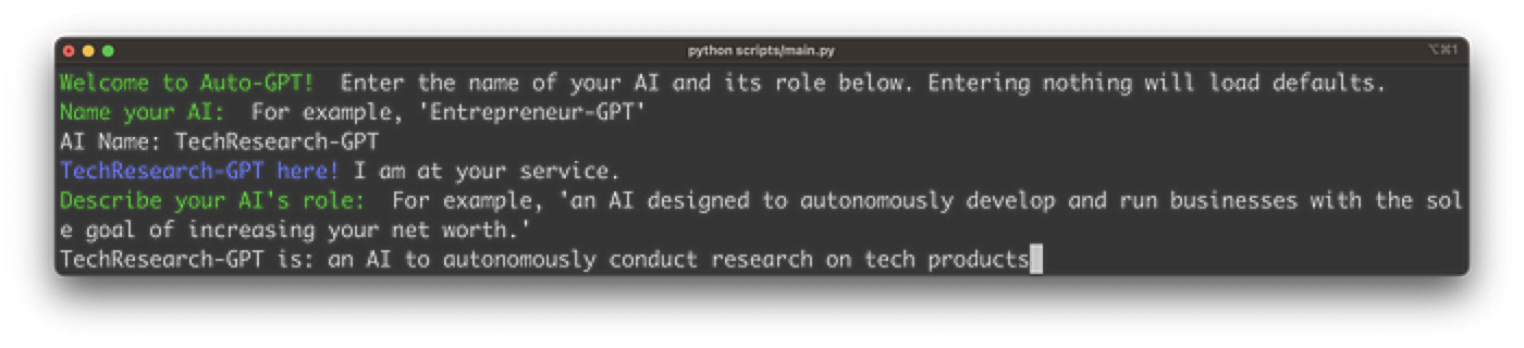 Auto-GPT 要求为要使用的 AI 提供一个名称