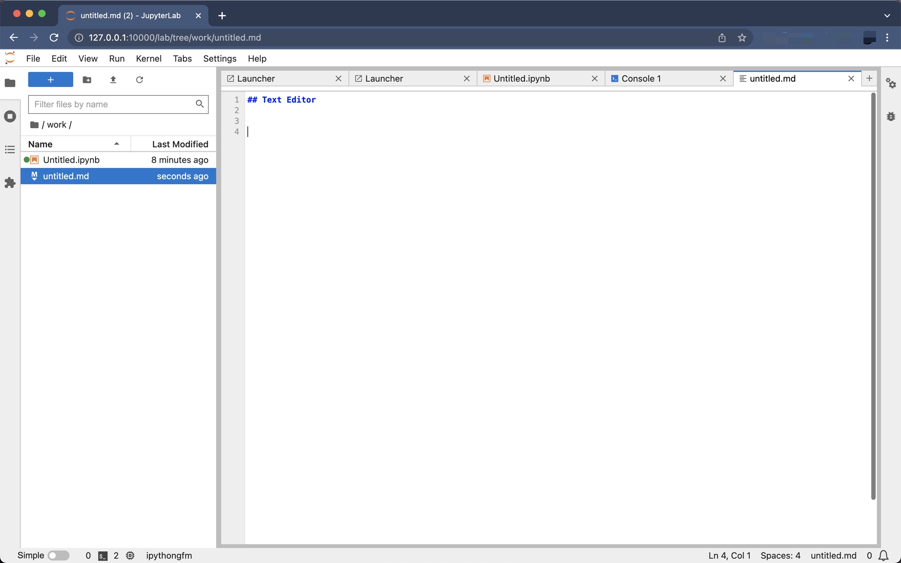 JupyterLab Text Editor