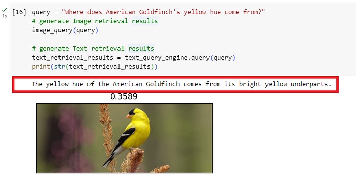 Question 3: Where does American Goldfinch’s yellow hue come from?