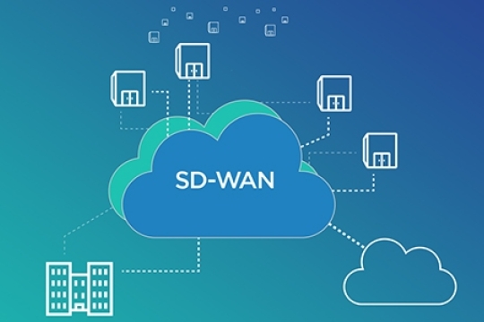 标签：sd-wan图